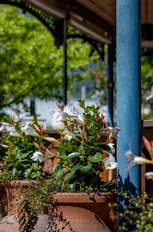 Hotel Ertl & Restaurant El Venado Spittal an der Drau Εξωτερικό φωτογραφία